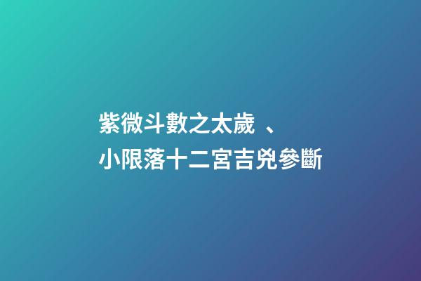 紫微斗數之太歲、小限落十二宮吉兇參斷